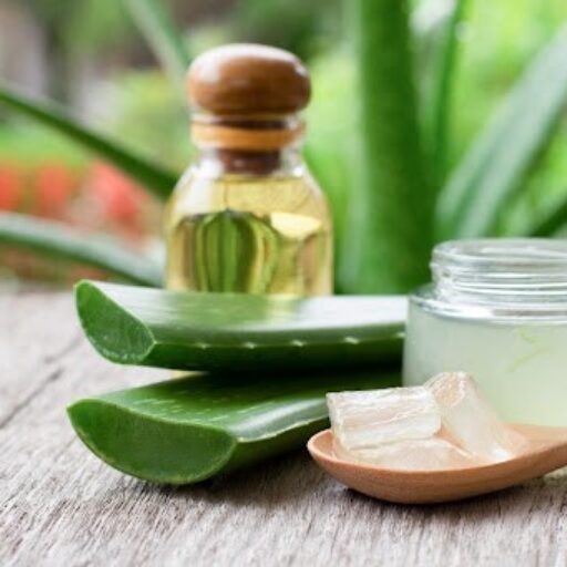 aloe vera