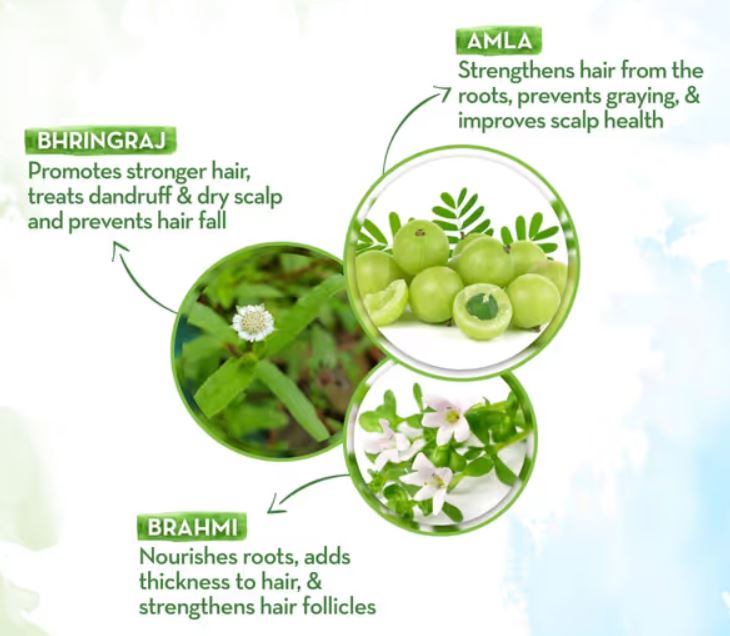 Ayurvedic Remedy for Hair Fall & Weak Roots